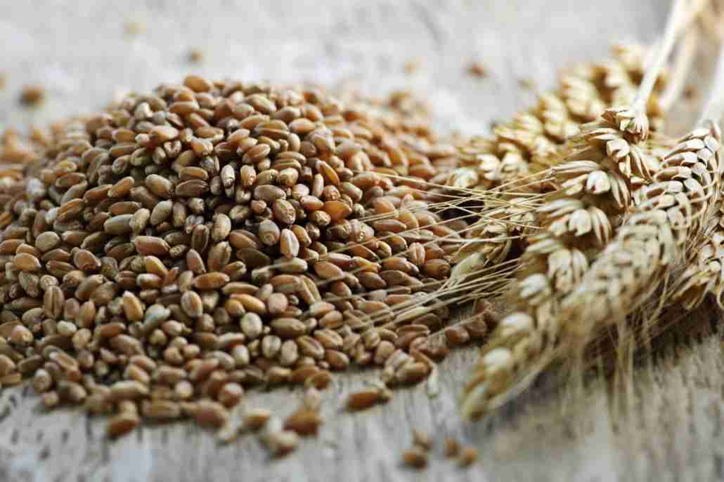 Turning Grain into Gold: Launching a 2-Ton Rice Mill Project