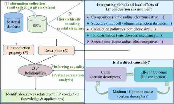 Transforming Harvest: The Journey of Paddy Processing Units