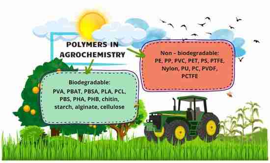 Rice Machinery: Innovations Powering Modern Agriculture