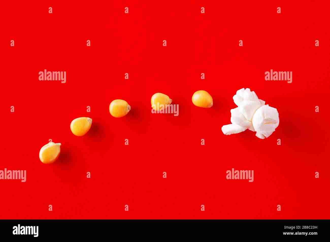 Transforming Grains: The Innovations Behind Rice Mill Plants