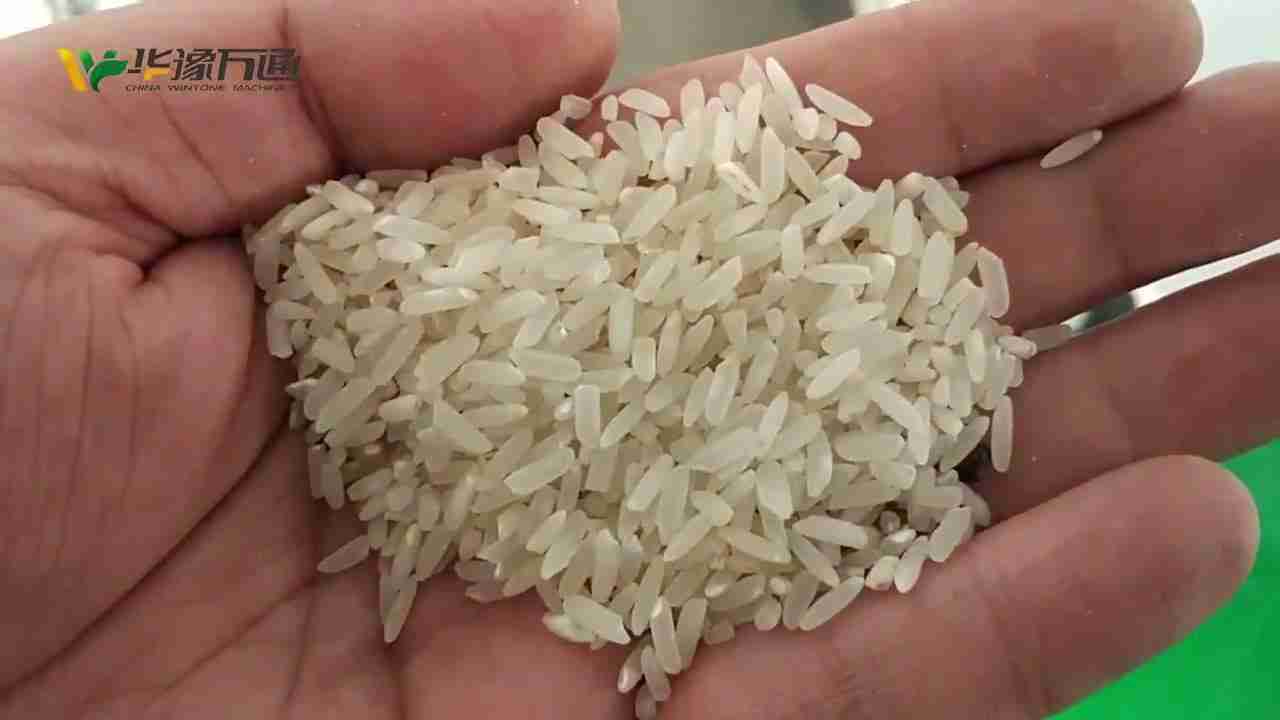 Turning Grains into Gold: The 2 Ton Rice Mill Plant Project
