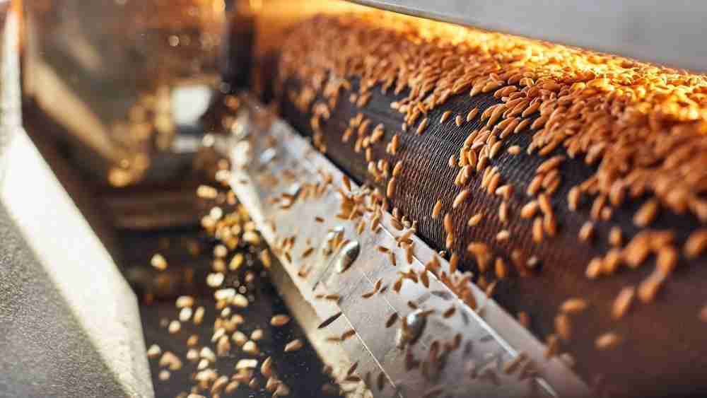 Revolutionizing Grain Processing: The Rise of Auto Rice Mills