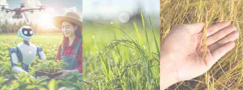 Reviving Agriculture: The 2 Ton Rice Mill Plant Initiative