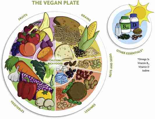 From Field to Table: The Art and Science of Rice Processing 3 Nutritional Quality and Flavor: The Science Behind Processing Techniques