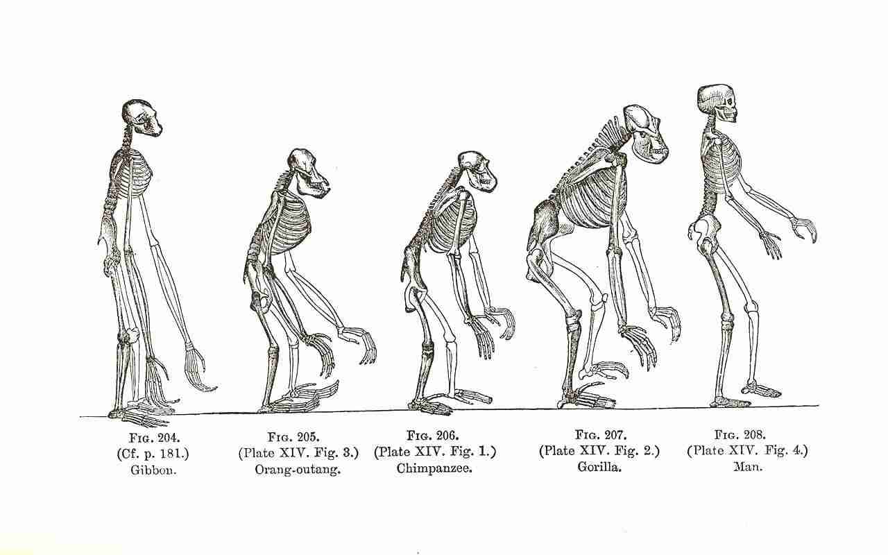 Unlocking Efficiency: The Rise of Mini Rice Mills Today 1 The Evolution of Mini Rice Mills in Modern Agriculture