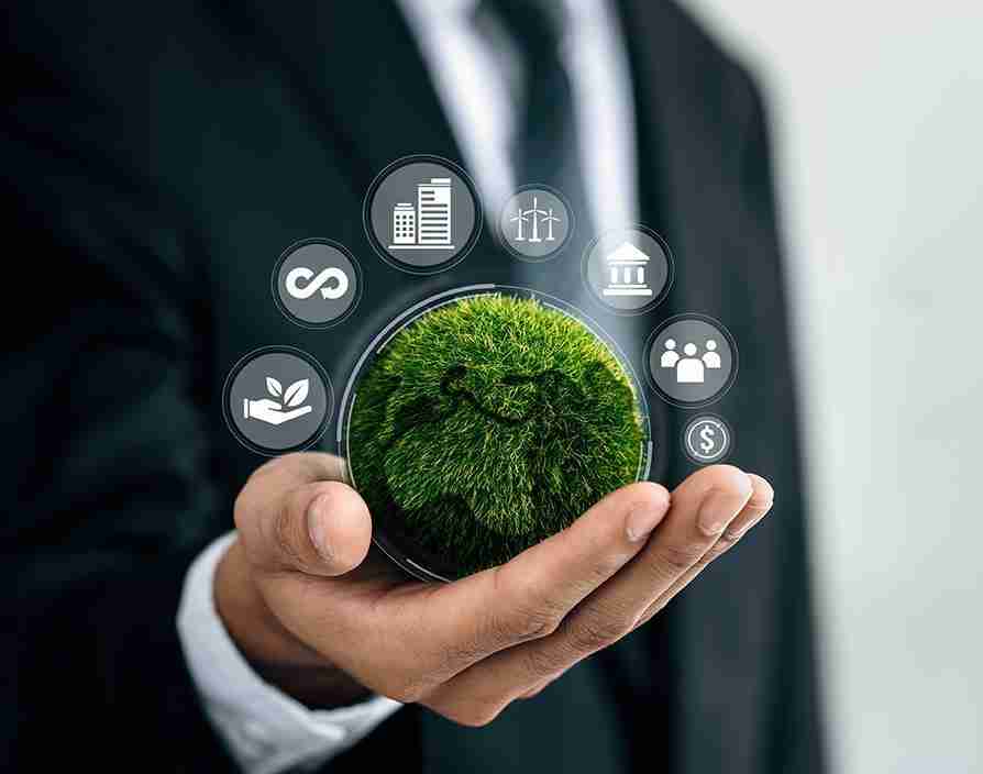 Transforming Grains: Inside the Modern Rice Processing Plant 3 Sustainability in Grains: Eco-Friendly Practices in Modern Facilities