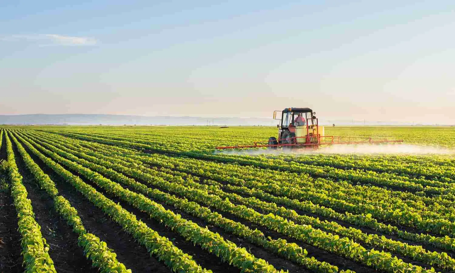 Corn Processing: Unveiling the Journey from Field to Factory 1 Understanding the Agricultural Backbone of Corn Production