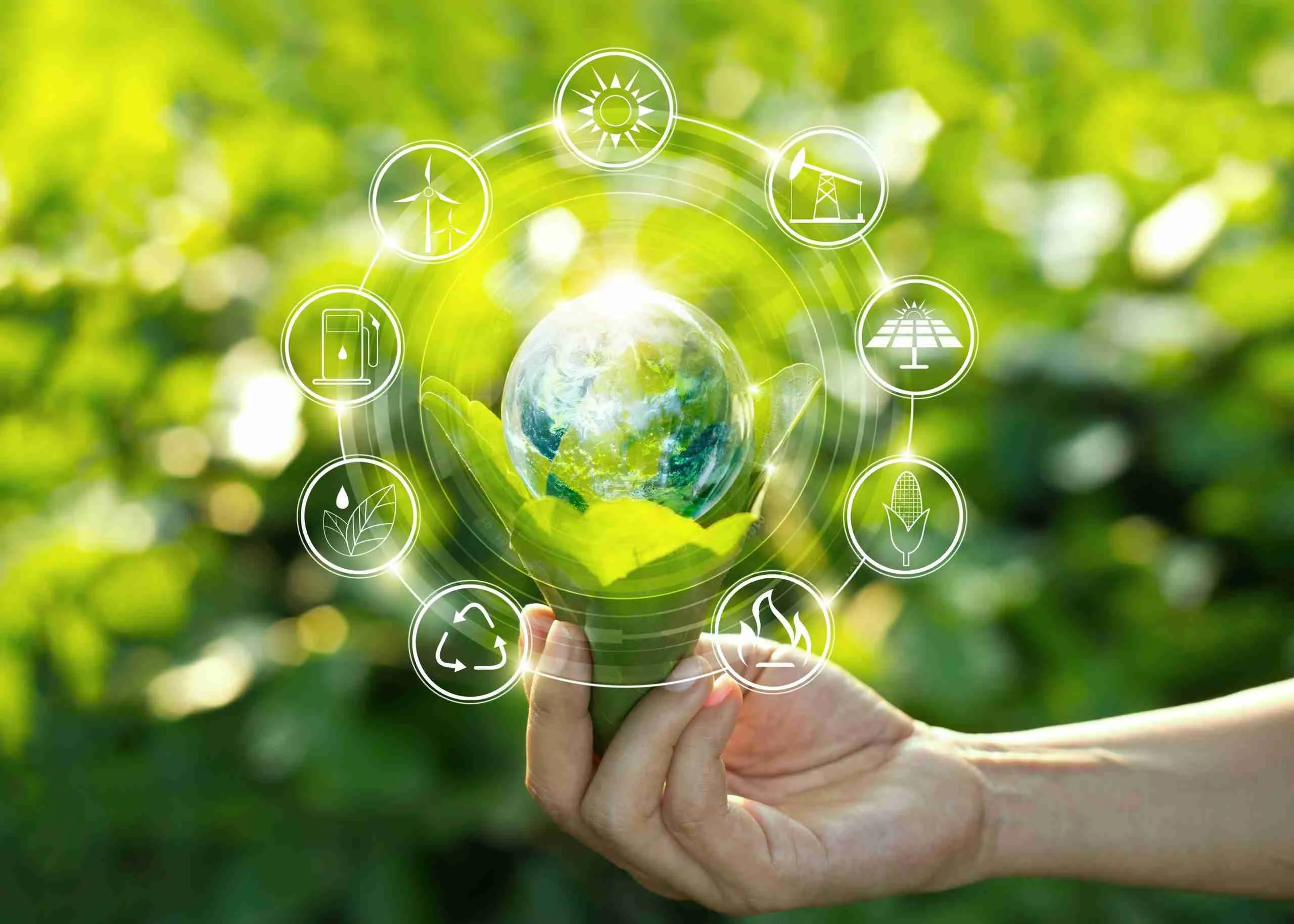 Sustainability in Corn Production: Innovations for the Future Consumer