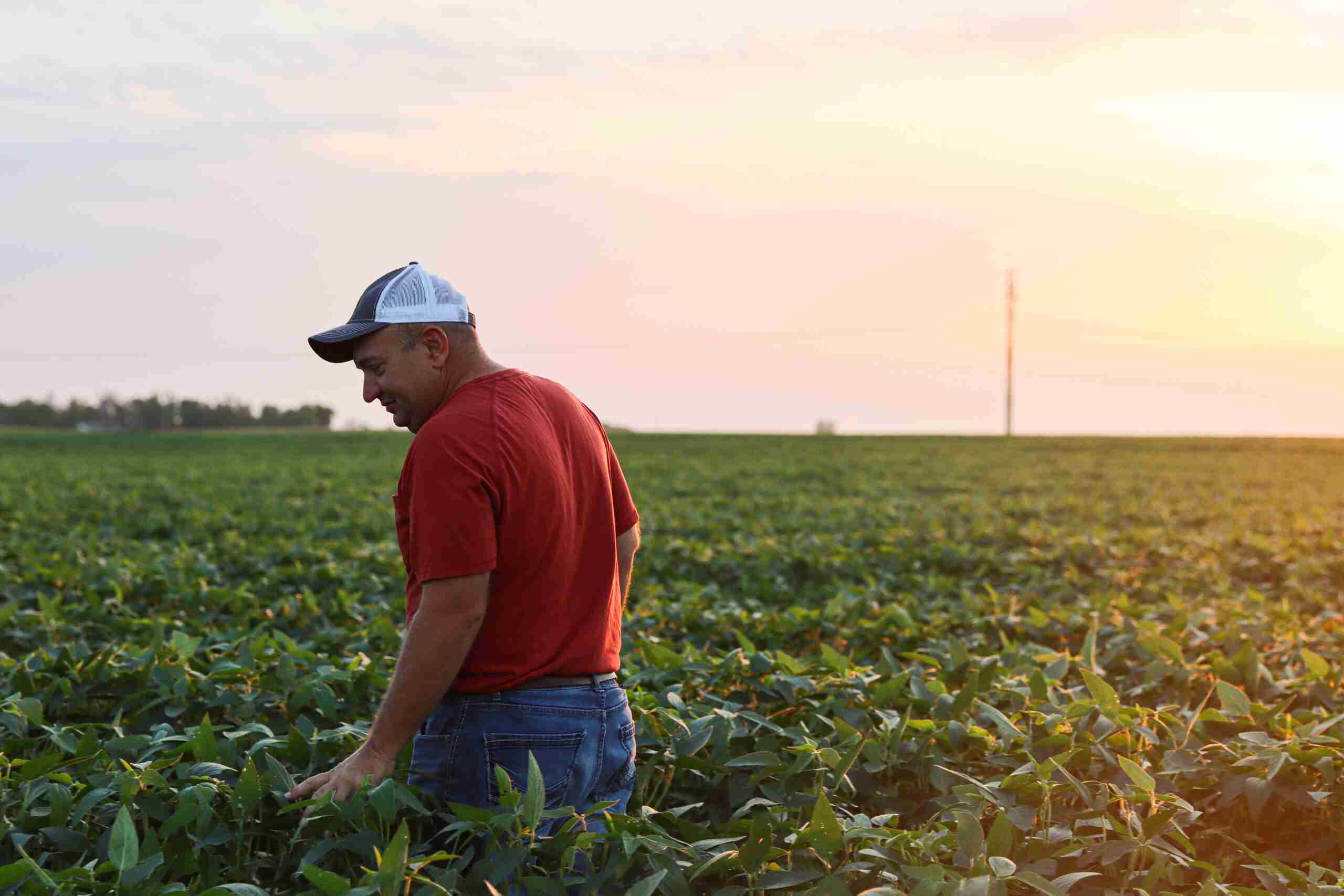 Revolutionizing Agriculture: The Rise of Portable Rice Milling 2 Enhancing Farmer Productivity with Mobile Solutions