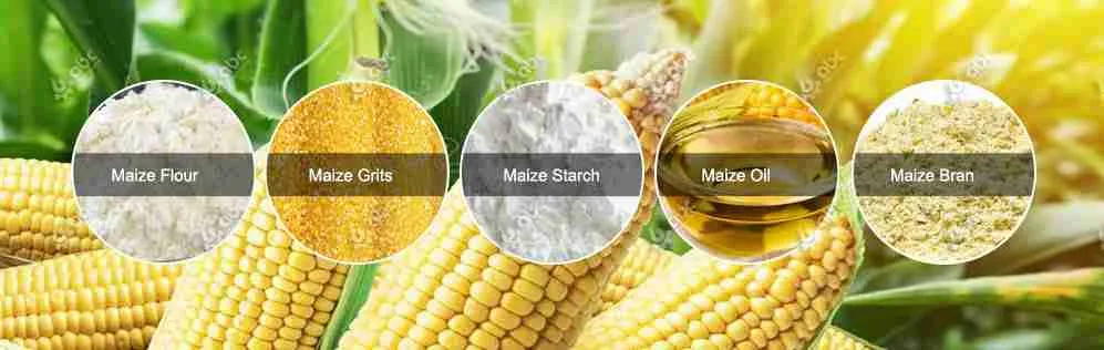 Turning Corn into Gold: The Art of Maize Milling Explained 3 Enhancing Quality and Flavor: Techniques for Optimal Maize Processing