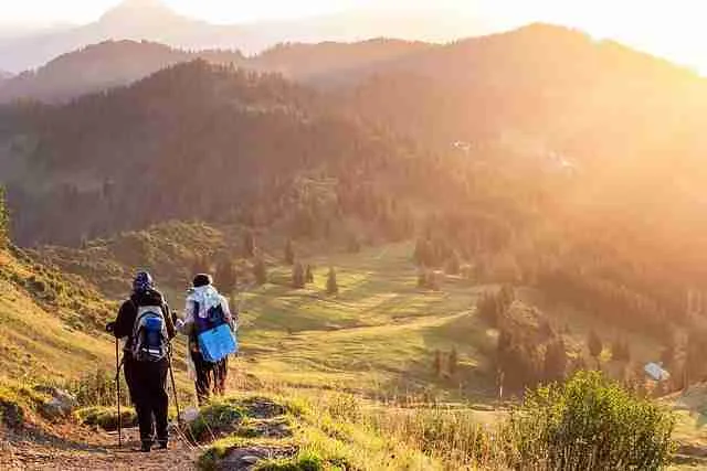 Exploring the‍ Journey from Field to Fork