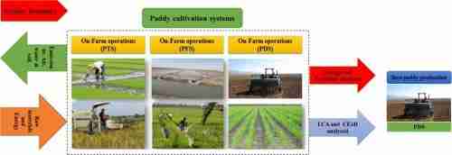 Unlocking Potential: The Rise of Mini Rice Mills in Farming