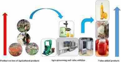 Unlocking Potential: The Impact of Mini Rice Mills on Farming