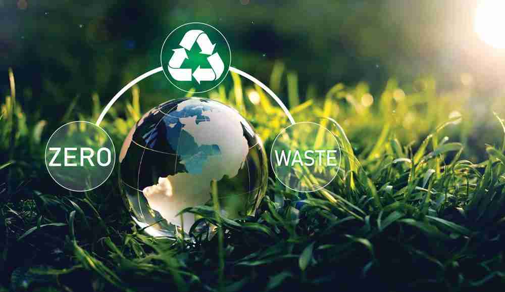 Transforming Grains: The Future of Rice Processing Equipment 3 Sustainability in Rice Production: The Role of Modern Machinery