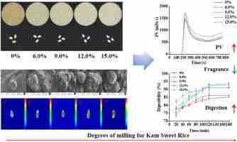 Exploring the Inner Workings of a Rice Mill Plant