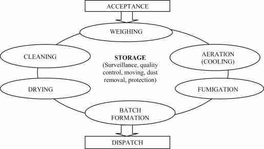 Unveiling the Secrets of Rice Processing: From Field to Table 2 Exploring Post-Harvest Processing Methods for Quality Preservation