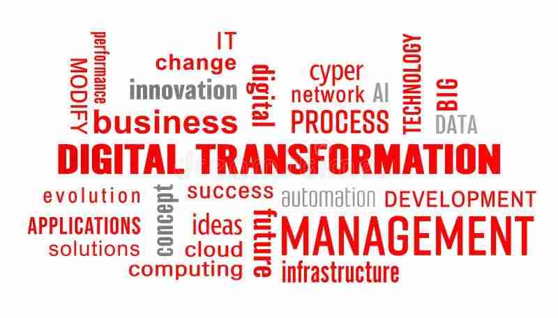 Transforming Grains: The Future of Rice Processing Equipment