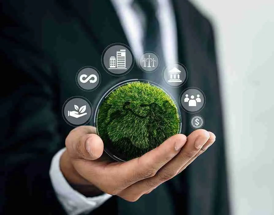 Transforming Agriculture: The Rise of Auto Rice Mills 3 Sustainability Practices in Modern Rice Milling Operations