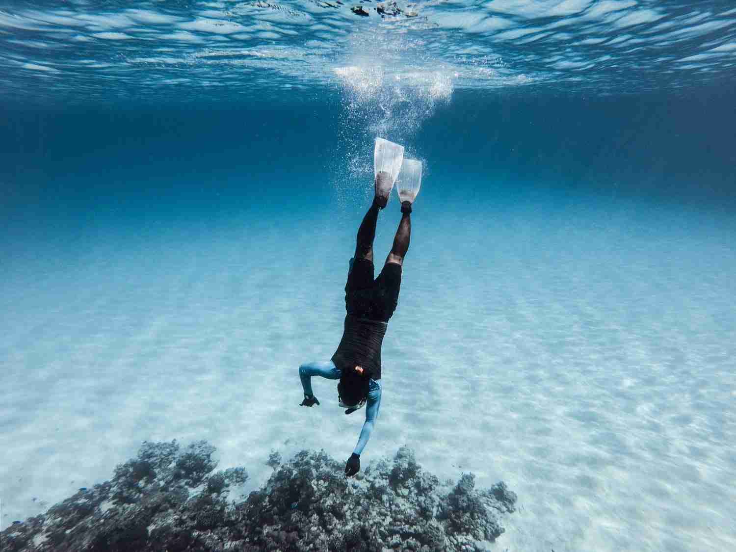 Top Picks for the Best Rice Mills: A Guide to Quality Grains 2 A Deep Dive into the Leading Brands and Their Offerings