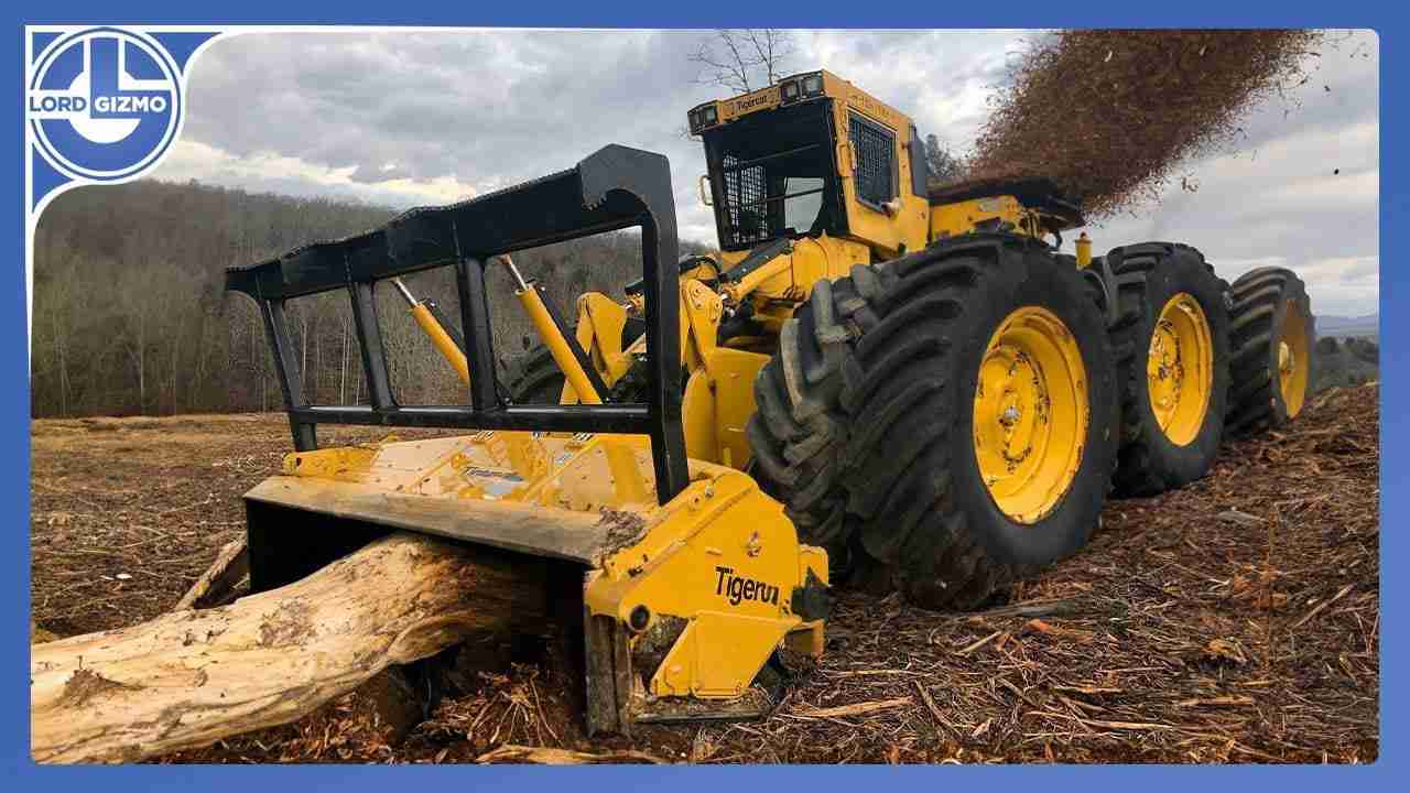 Transforming Harvests: The Evolution of Rice Processing Machines 2 Innovative Machinery: Shaping Modern Rice Production