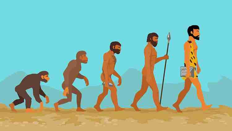 Unlocking Efficiency: The Rise of Automatic Rice Mills 1 The Evolution of Rice Milling Technology