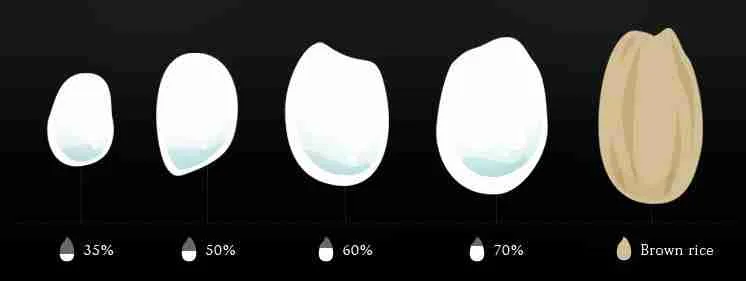Revitalize Your Grain: The Science Behind Rice Polishers 1 Understanding the Fundamentals of Rice Polishing and Its Impact on Grain Quality