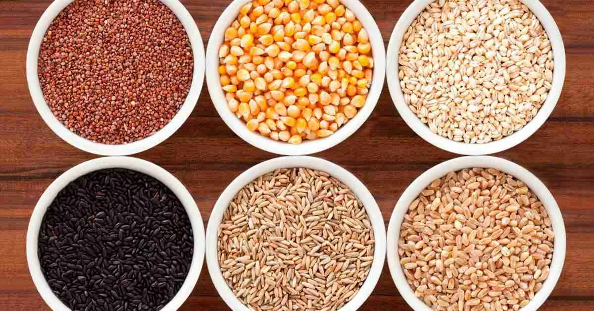 From Grain to Bowl: The Art of Cereal Processing Explained 1 Understanding the Journey of Grains from Harvest to Breakfast