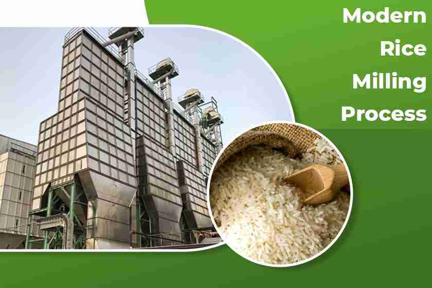 Unveiling the Heart of Grain: Inside a Chinese Rice Mill 2 The Art and Science of Rice Milling Techniques