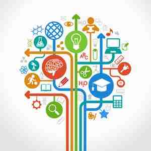 The Journey of Grain: Unveiling the Art of Rice Processing 3 Techniques and Tools: The Modern Innovations Transforming Rice Production