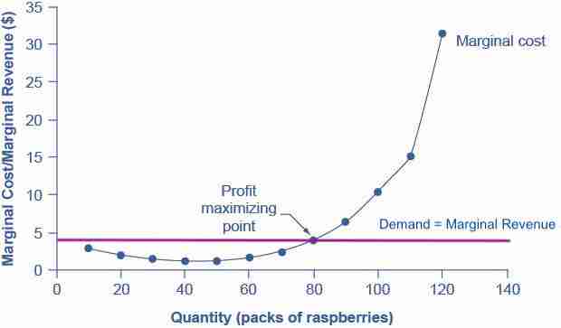 Unlocking Efficiency: The Role of Commercial Rice Milling Machines 2 Maximizing Output and Quality Through Efficient Milling Practices