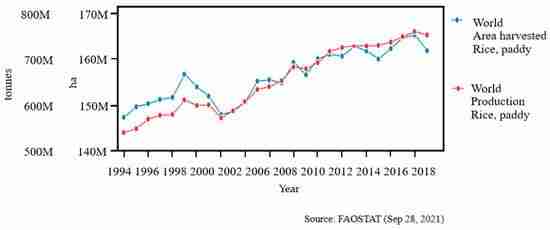 Transforming Rice Production: The Rise of Mini Milling Machines