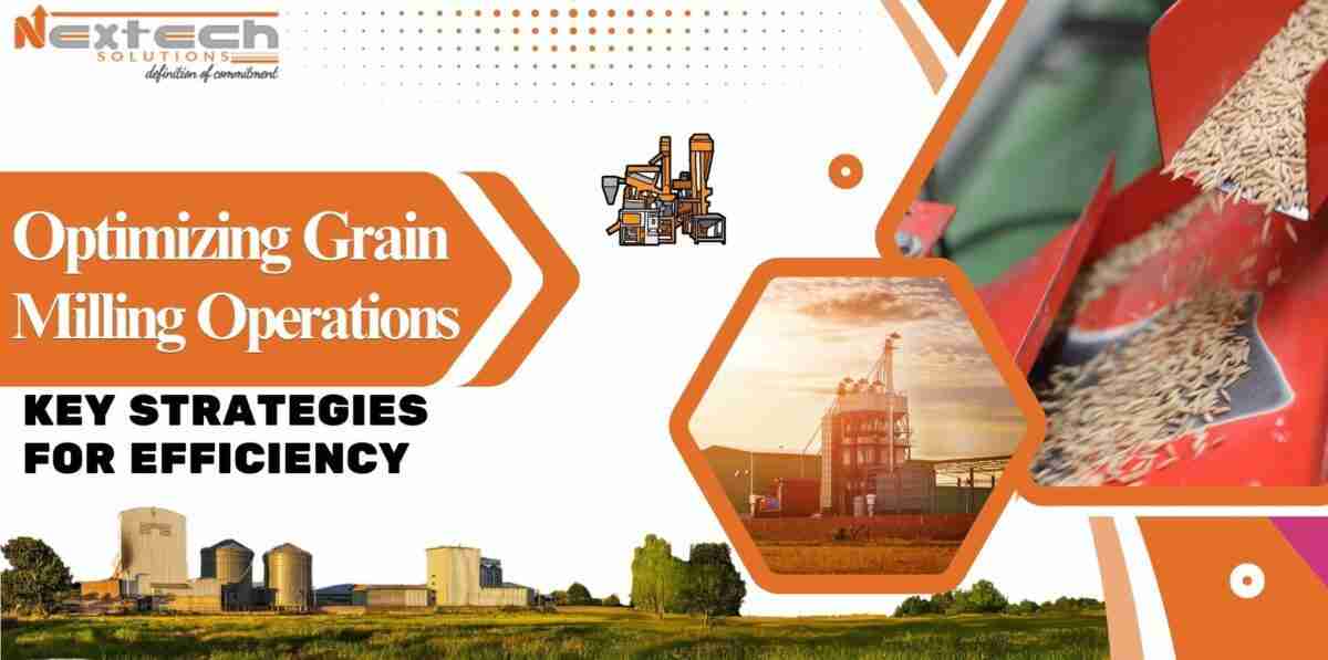 Optimizing Grain: The 4-Ton Rice Mill Plant Revolution
