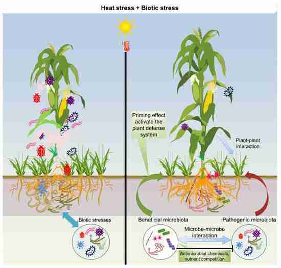 Unlocking Efficiency: The Rise of Mini Rice Mill Combines