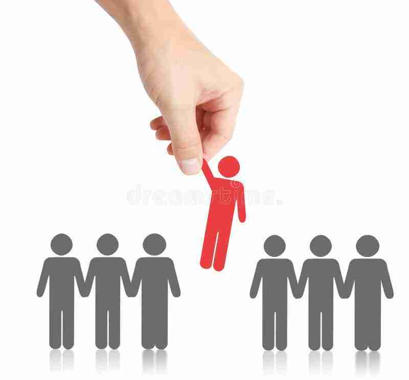 Turning Grains to Gold: The Art of Maize Milling 2 Choosing the Right Equipment for Optimal Results