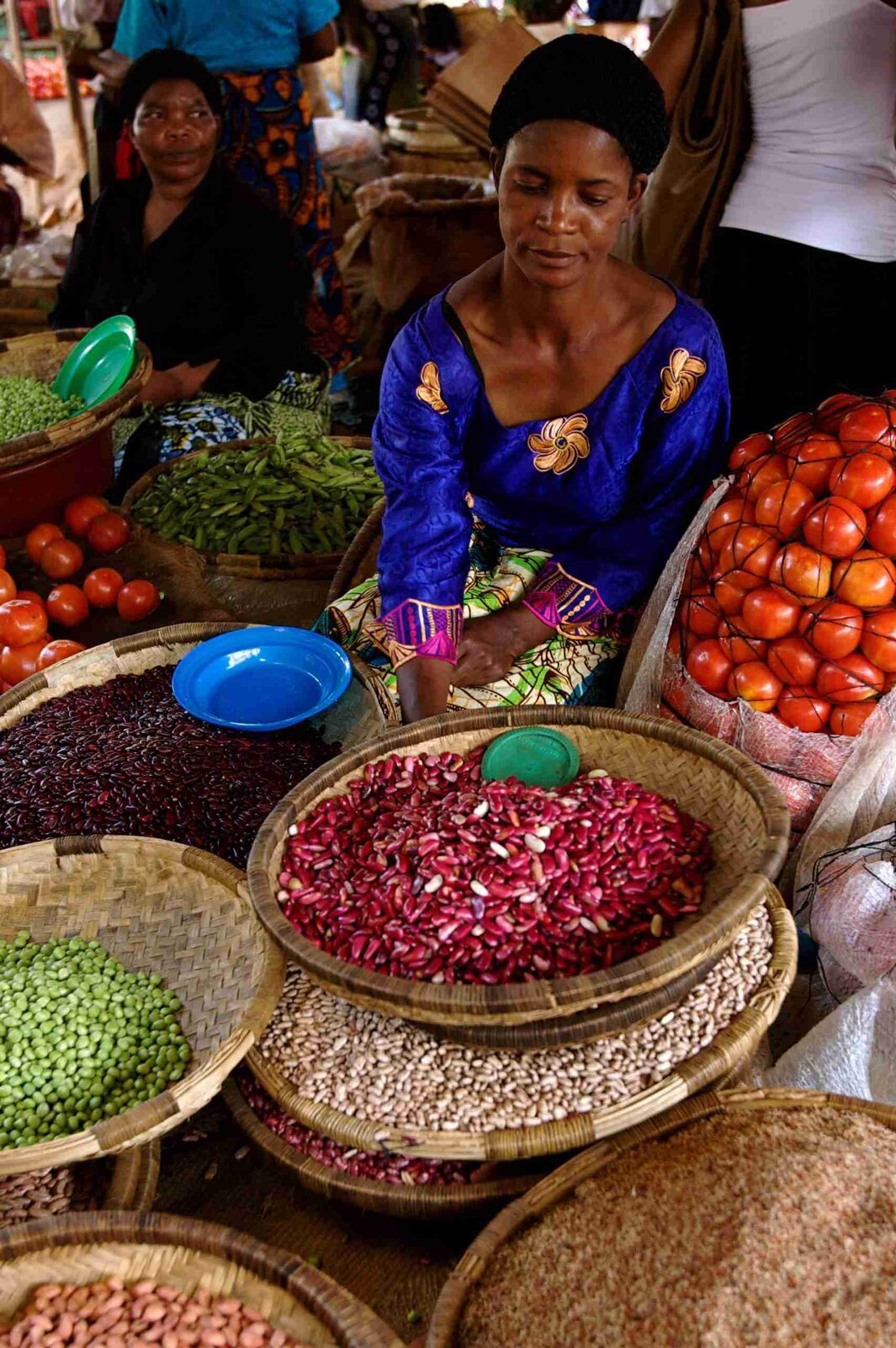 Unlocking Convenience: The Rise of Mini Rice Mills 3 Enhancing Food Security through Localized Production