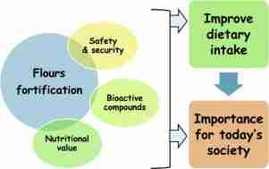 Transforming Grain: The Art and Science of Cereal Processing 3 Nutritional Fortification: Balancing Flavor and Health in Cereal Production