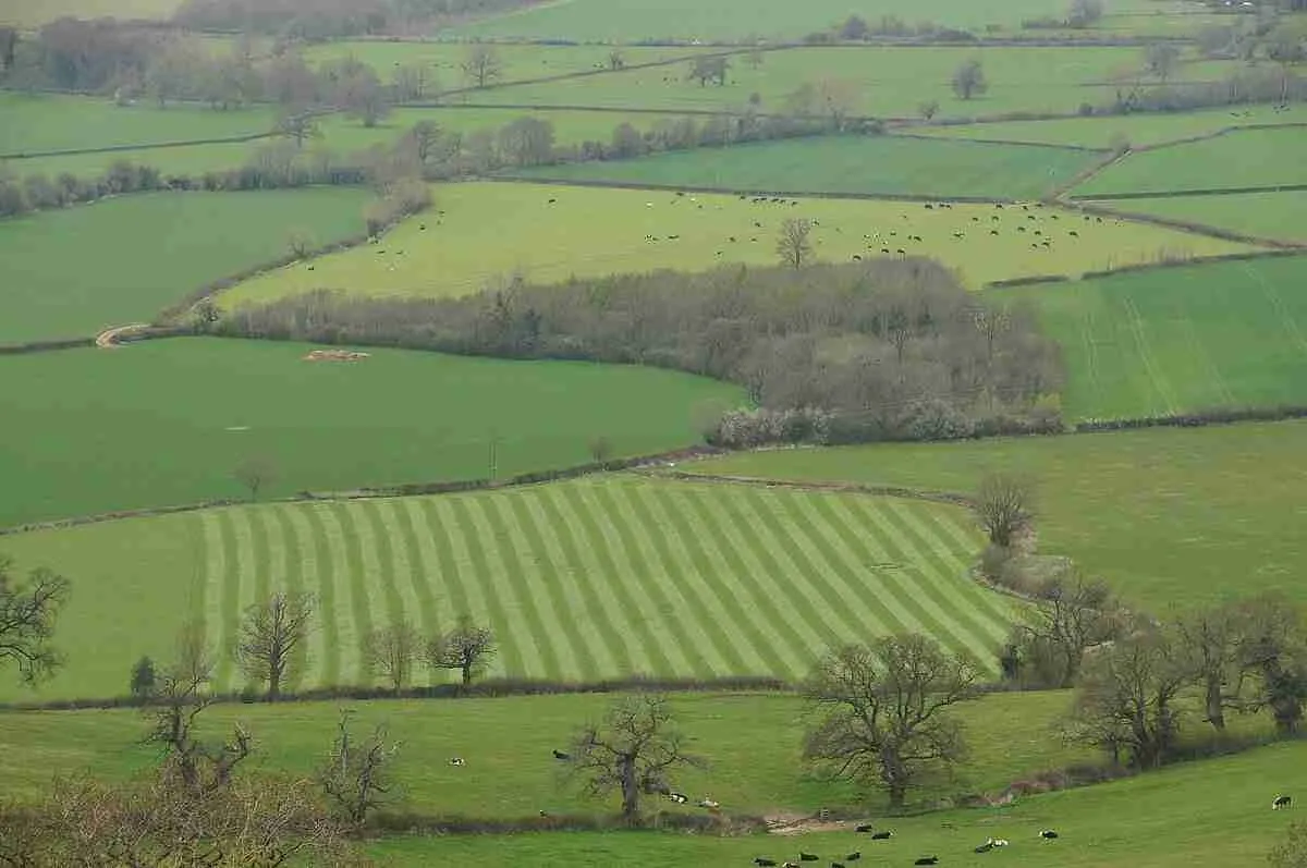 Understanding the Journey from Field to Flour: A Comprehensive Overview of Cereal ‍Processing