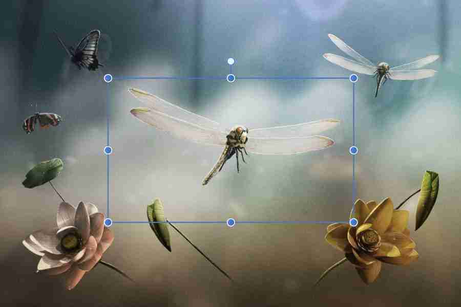 Revolutionizing Grains: The Future of Fully Automatic Rice Mills 1 Transforming Grain Processing Efficiency with Automation