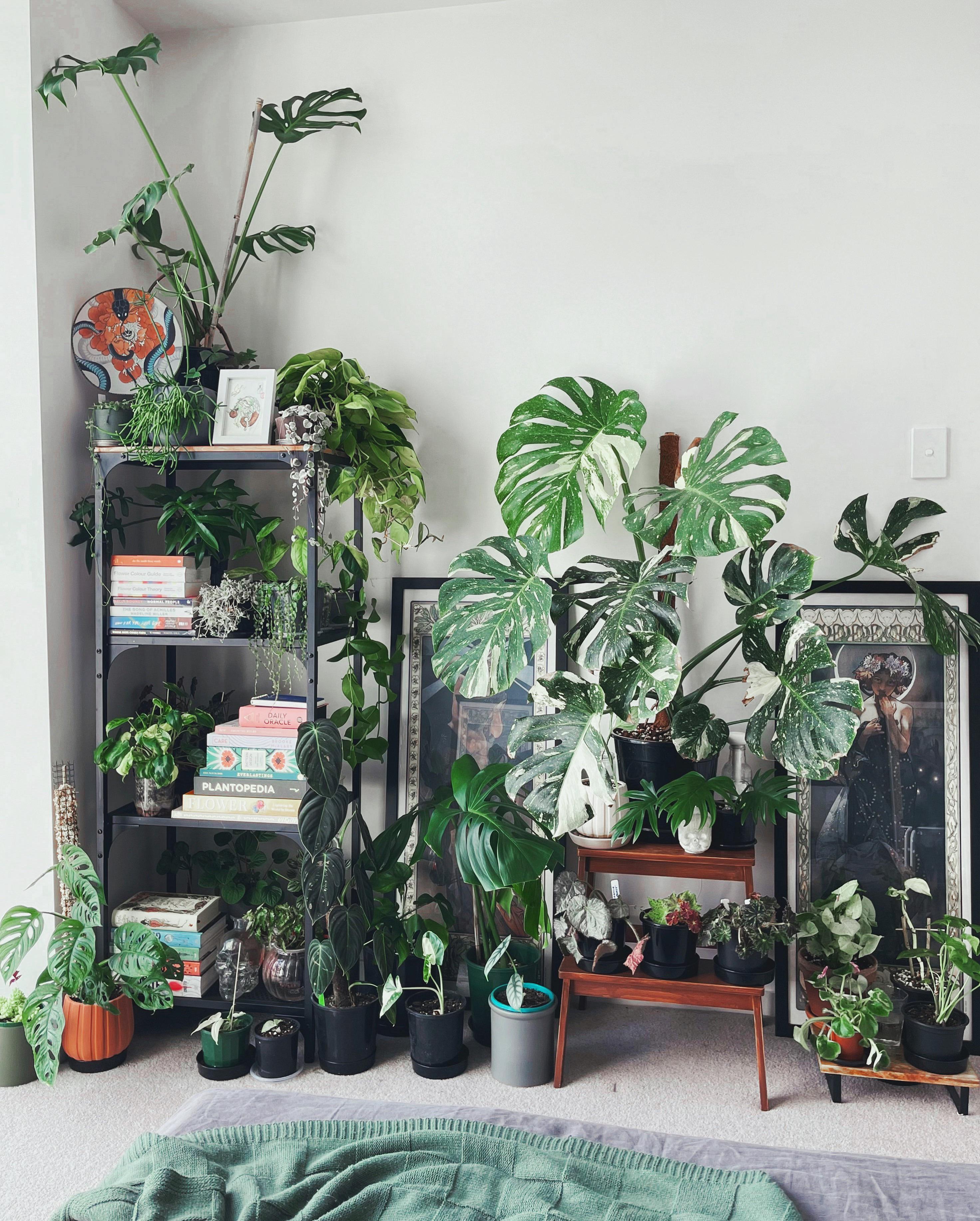 Unlocking Potential: A 2-Ton Rice Mill Plant Project Journey 2 Navigating the Challenges of Plant Setup