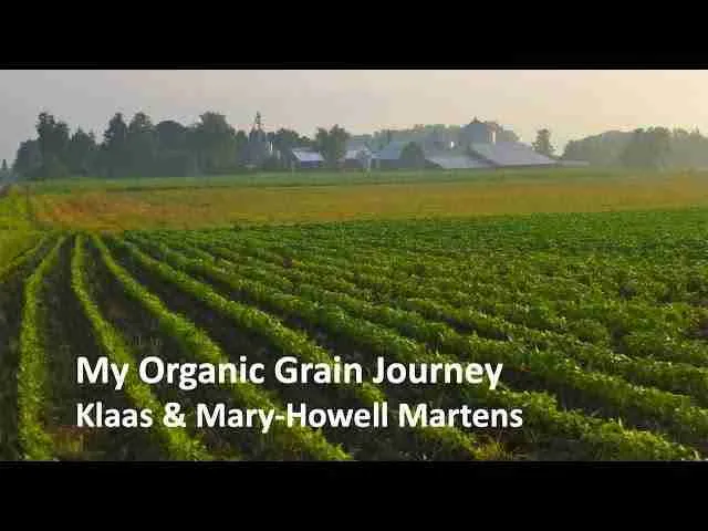 Exploring the Grain⁣ Journey: Key Steps in Cereal Preparation