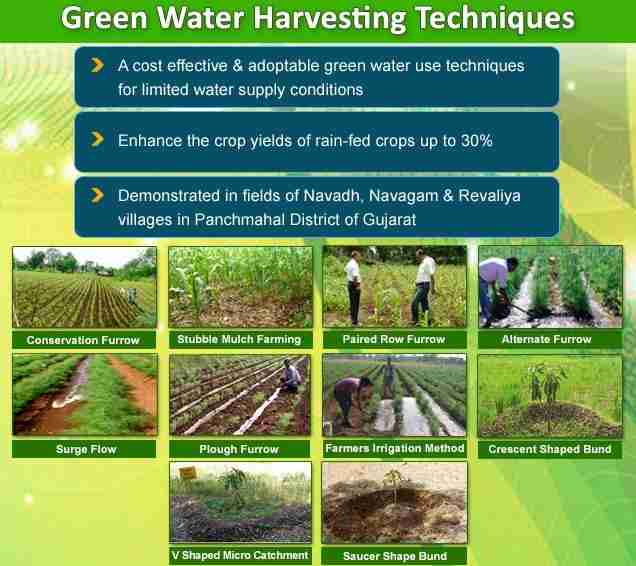 From Field to Bowl: The Intricacies of Rice Processing 1 Harvesting Techniques and Their Impact on Rice Quality