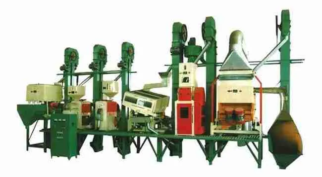 Transforming Rice: The Heart of Paddy Processing Units 1 Understanding Paddy Processing Units and Their Role in Rice Transformation