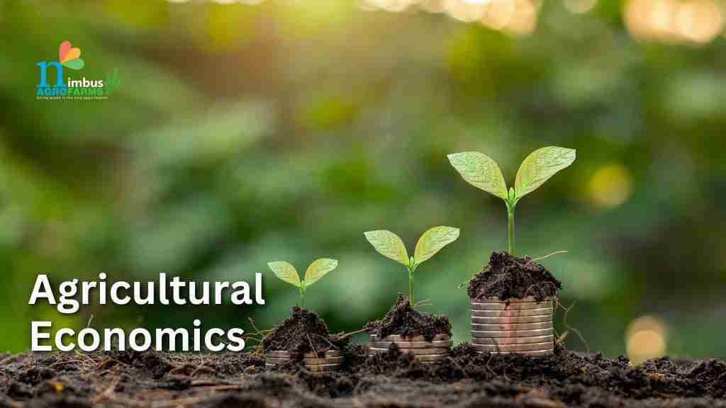 Transforming Grain to Gold: The 2-Ton Rice Mill Initiative 1 Rethinking Agricultural Economies Through the 2-Ton Rice Mill Model