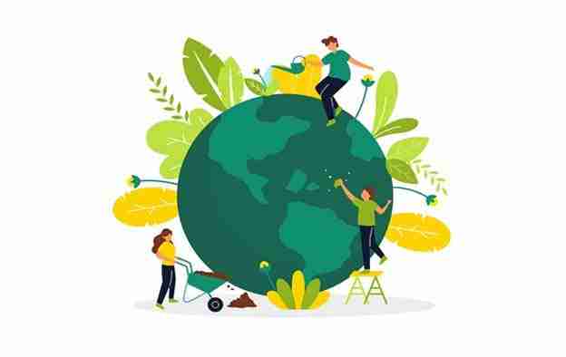 Unlocking Efficiency: The Commercial Rice Milling Revolution 2 Sustainable Practices in Modern Rice Production