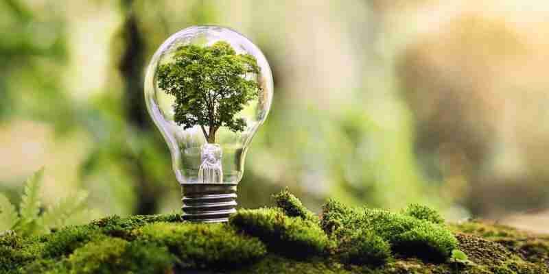 Revolutionizing Agriculture: The Versatile Combined Mini Rice Mill 3 Sustainable Solutions: The Environmental Impact of Modern Milling Technology