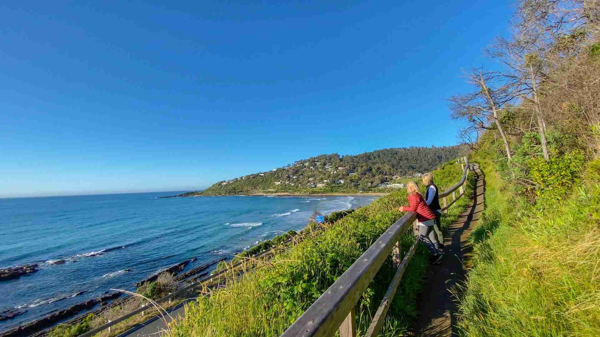 Behind the Scenes: The Journey of Paddy at Processing Factories 1 Exploring Paddys Path: From Field to Factory