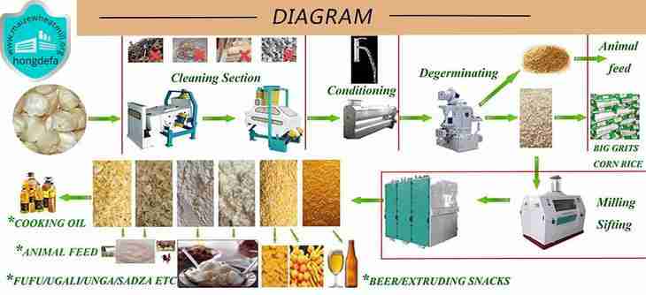 Unlocking the Secrets of Maize Milling: A Complete Guide 1 Understanding the Maize Milling Process and Its Importance