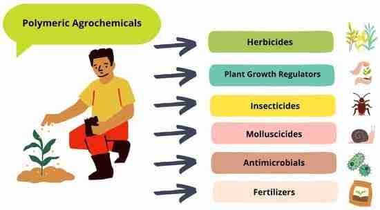 Revolutionizing Grain to Plate: The Mini Rice Milling Machine