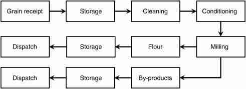 Streamlining Grain Processing: The Innovation of Combined Rice Mill Machines