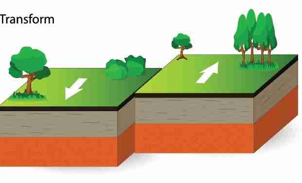 Transform Your Harvest: The Rise of Mini Rice Milling Machines